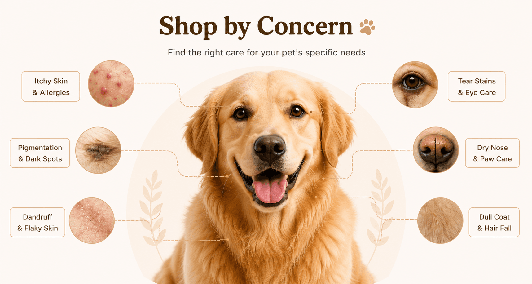 Shop by Concern carousel for dogs
